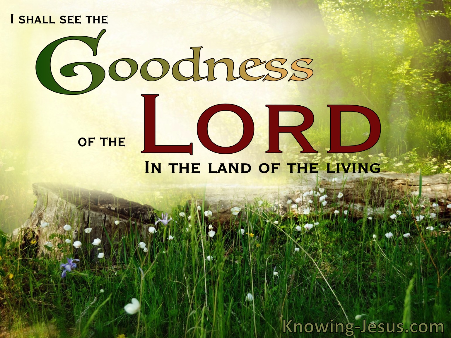 What Does Psalm 27 13 Mean 